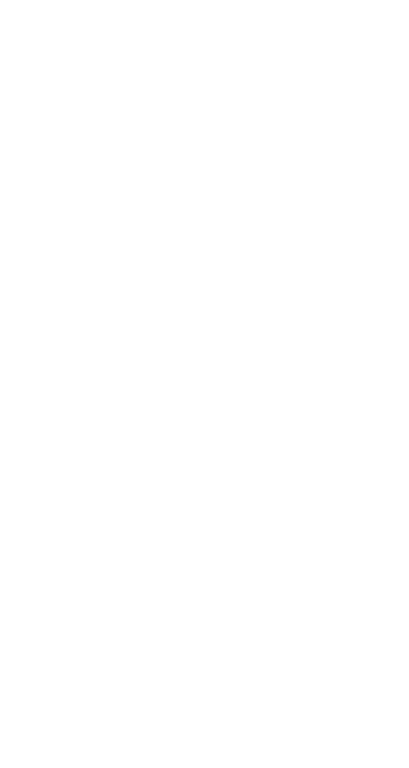 La timeline del matrimonio
